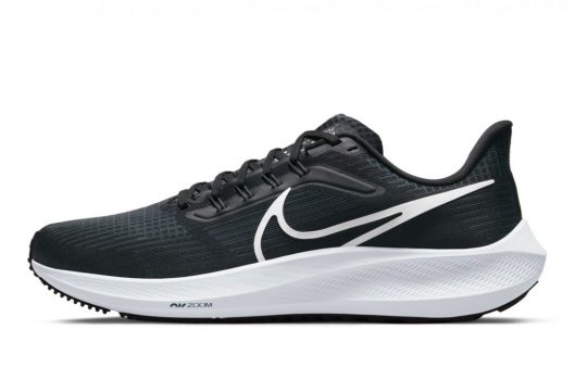 Nike Air Zoom Pegasus 39