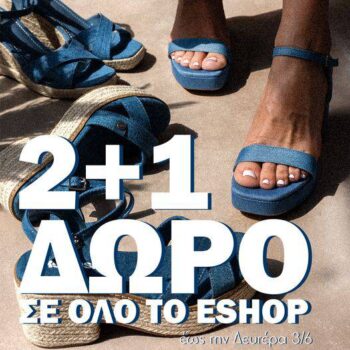 The fashion Project