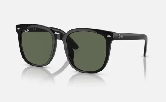 Ray Ban Γυαλιά Ηλίου RB4401D