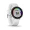 Garmin Forerunner 245