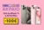 Plaisio: Όλα τα iPhone 15 & 15 Pro/Max με έκπτωση 100€